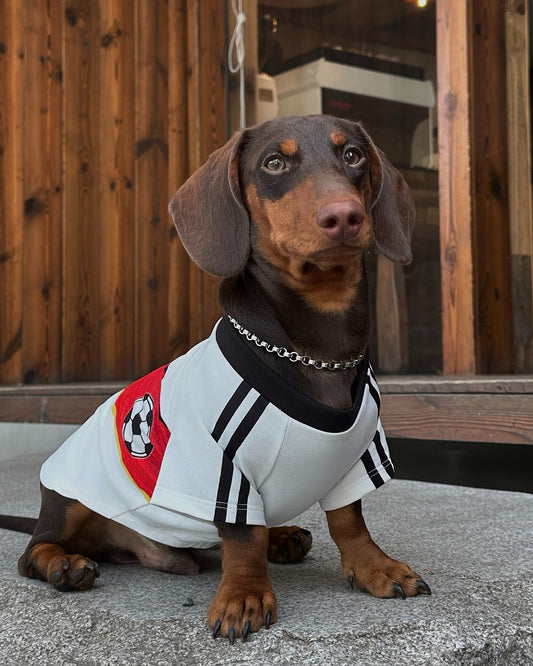 Dachino "Match Day" Black Diagonal Slash Off-Shoulder & Red V Print Soccer Jersey for Dachshund