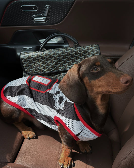 Dachino "Training Day" Black & White Striped Soccer Vest for Dachshund