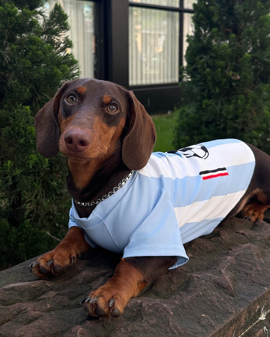 Dachino "Match Day" Blue & White Striped Soccer Jersey for Dachshund