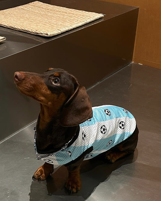 Dachino "Training Day" Blue & White Striped Soccer Vest for Dachshund