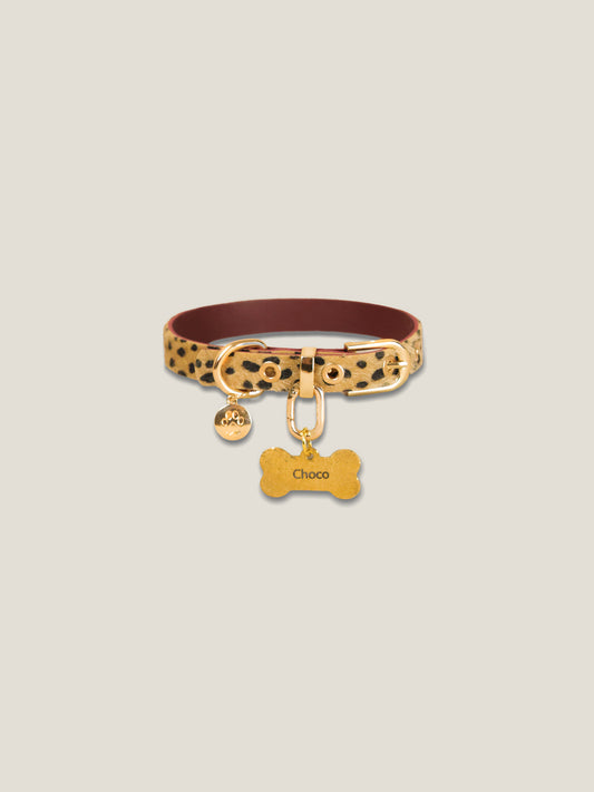 Champagne Leopard Collar