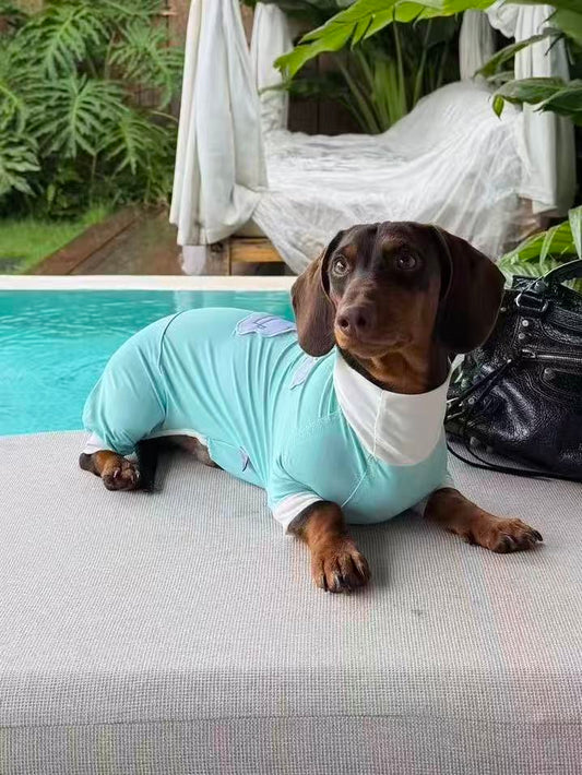 DACHINO Daydream Cooling Suit – Blue Sky | Dachshund Cooling Suit