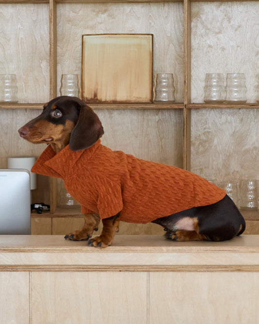 Textured Club Polo – Burnt Apricot | Dachshund Polo Shirt