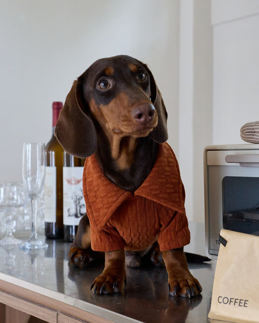 Textured Club Polo – Burnt Apricot | Dachshund Polo Shirt