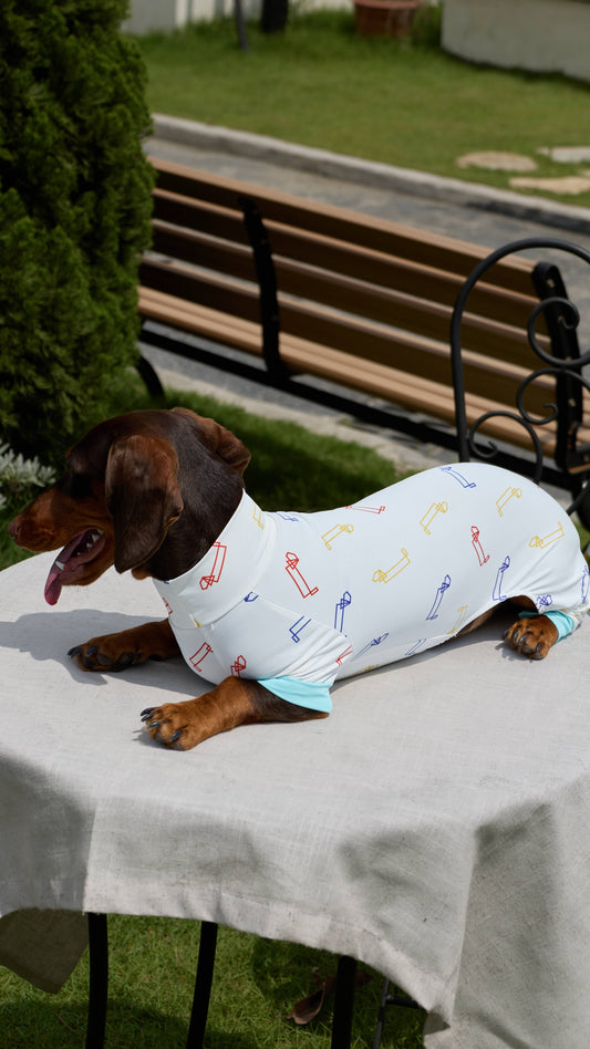 DACHINO Signature Cooling Suit – Signature Print | Dachshund Cooling Suit