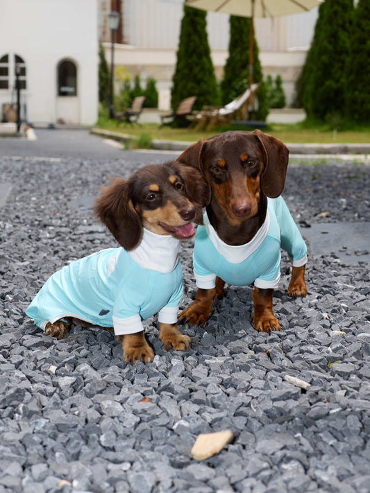 DACHINO Daydream Cooling Suit – Blue Sky | Dachshund Cooling Suit