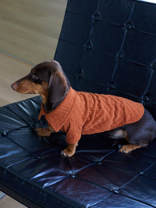 Textured Club Polo – Burnt Apricot | Dachshund Polo Shirt