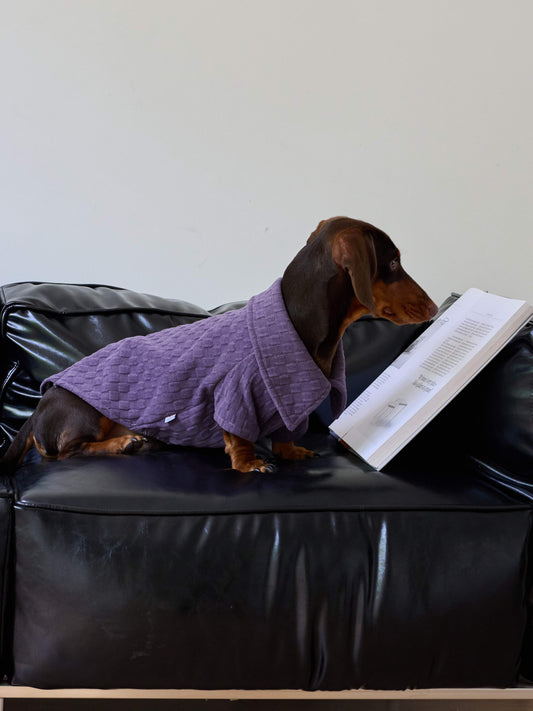 Textured Club Polo – Royal Plum | Dachshund Polo Shirt