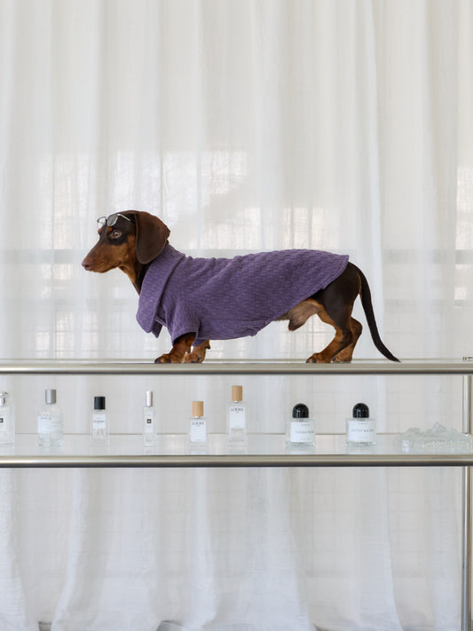 Textured Club Polo – Royal Plum | Dachshund Polo Shirt