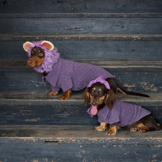 DACHINO Textured Club Polo – Royal Plum | Polo Shirt for Dachshunds – Dog Clothing for Long Body Breeds