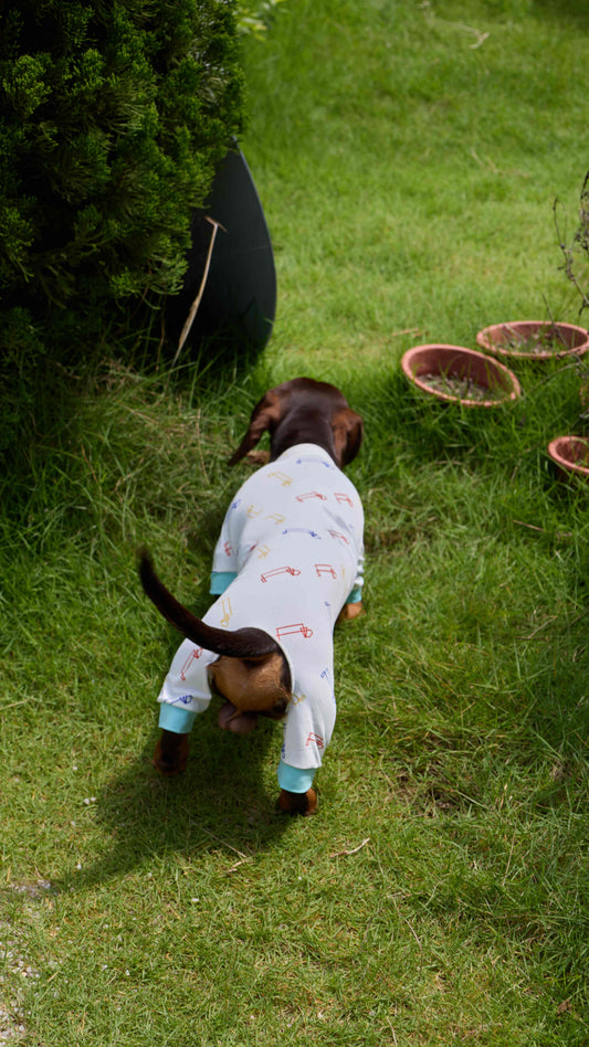 DACHINO Signature Cooling Suit – Signature Print | Dachshund Cooling Suit