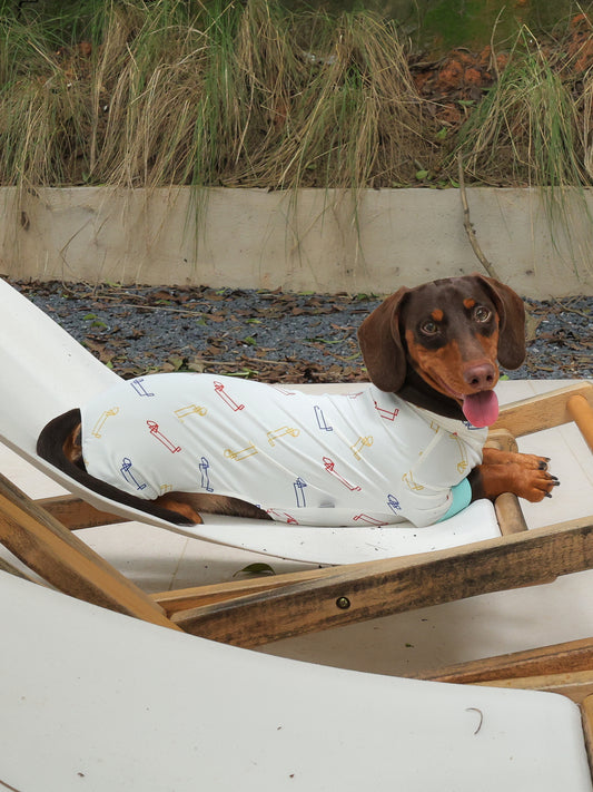 DACHINO Signature Cooling Suit – Signature Print | Dachshund Cooling Suit