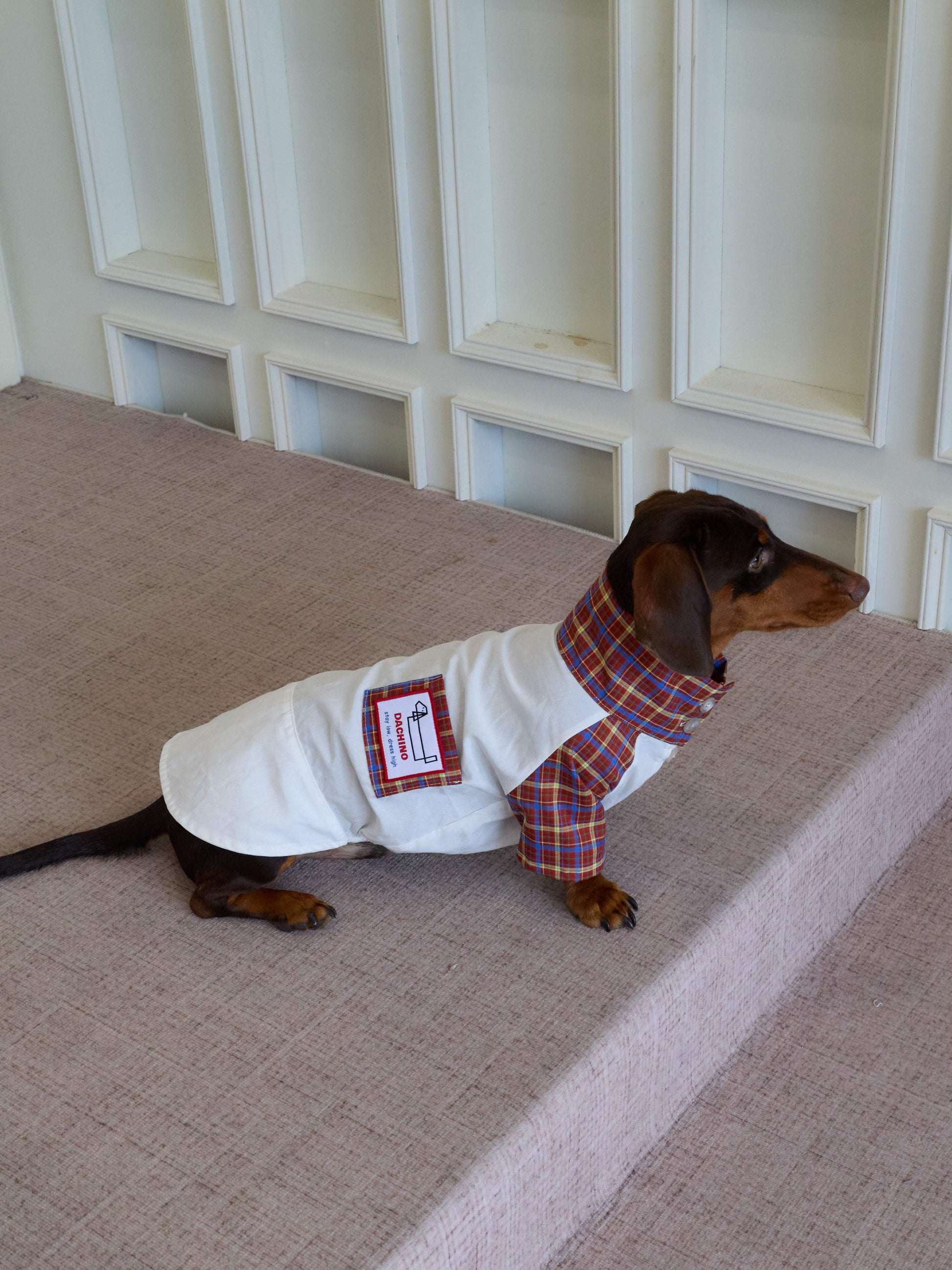 dachshund dress shirt Amazon.com: Dachshund Lovers Hawaiian Shirts for Men