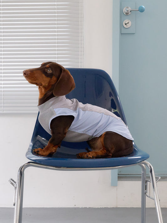 Rainy Day UV Active Vest – Storm Cloud | Dachshund Active Vest