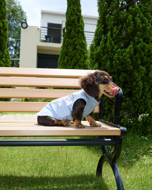 Rainy Day UV Active Vest – Storm Cloud | Dachshund Active Vest