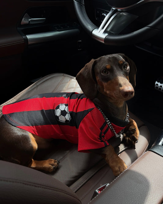 Dachino "Match Day" Red & Black Striped Soccer Jersey for Dachshund