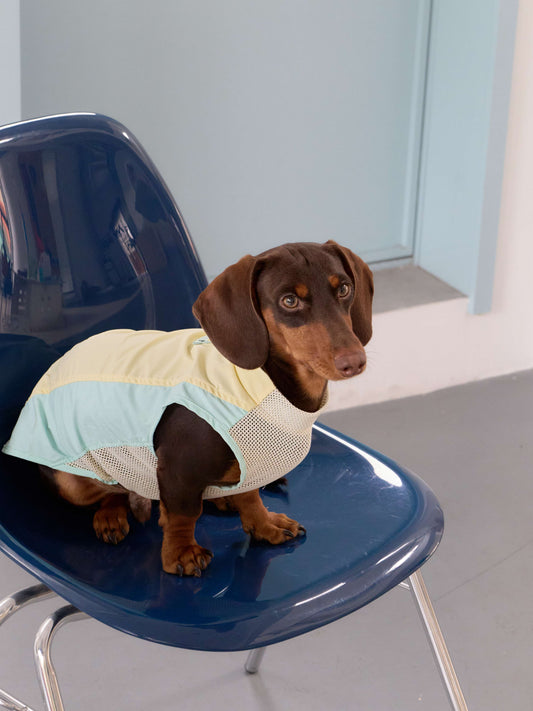 Sunny Day UV Active Vest – Morning Meadow | Dachshund Active Vest
