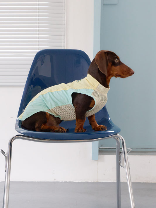 Sunny Day UV Active Vest – Morning Meadow | Dachshund Active Vest