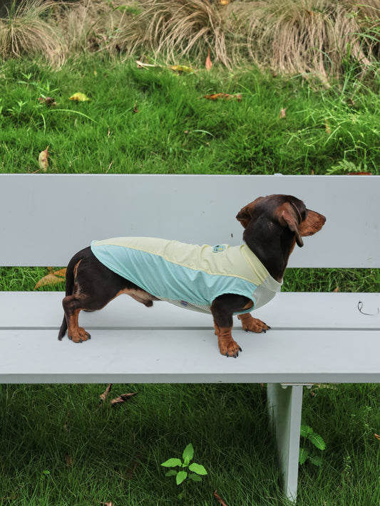Sunny Day UV Active Vest – Morning Meadow | Dachshund Active Vest