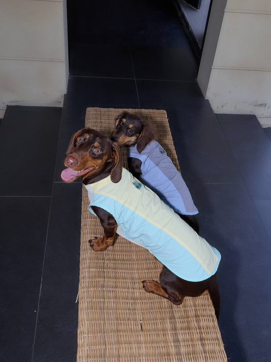 Sunny Day UV Active Vest – Morning Meadow | Dachshund Active Vest