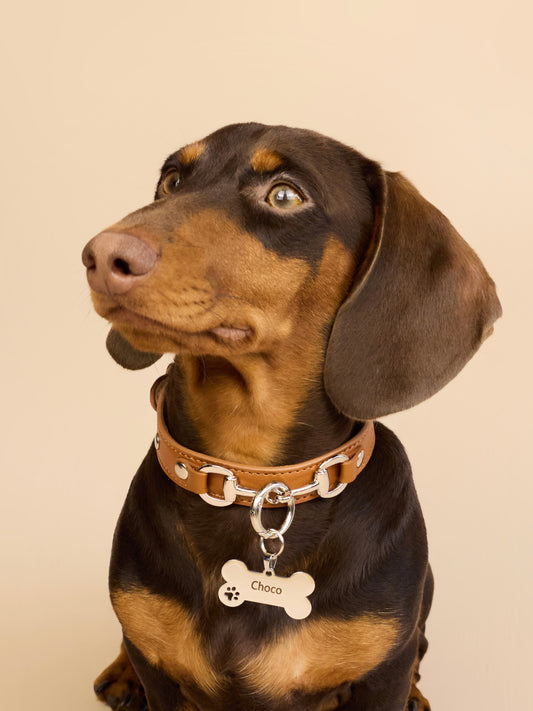 THE HERITAGE LEATHER COLLAR