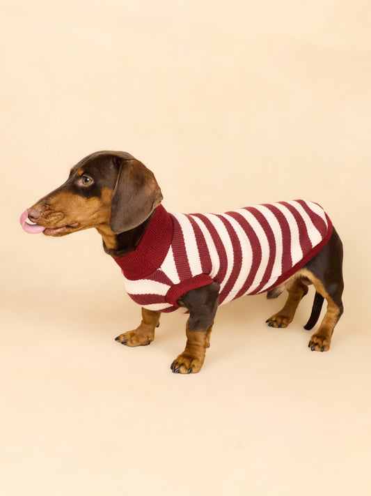 THE KENSINGTON KNIT – Raspberry Stripe | Dachshund Sweater