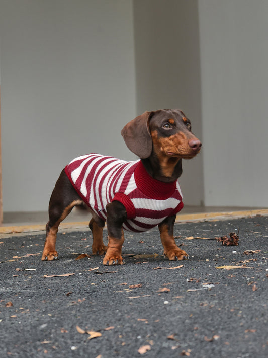 THE KENSINGTON KNIT – Raspberry Stripe | Dachshund Sweater