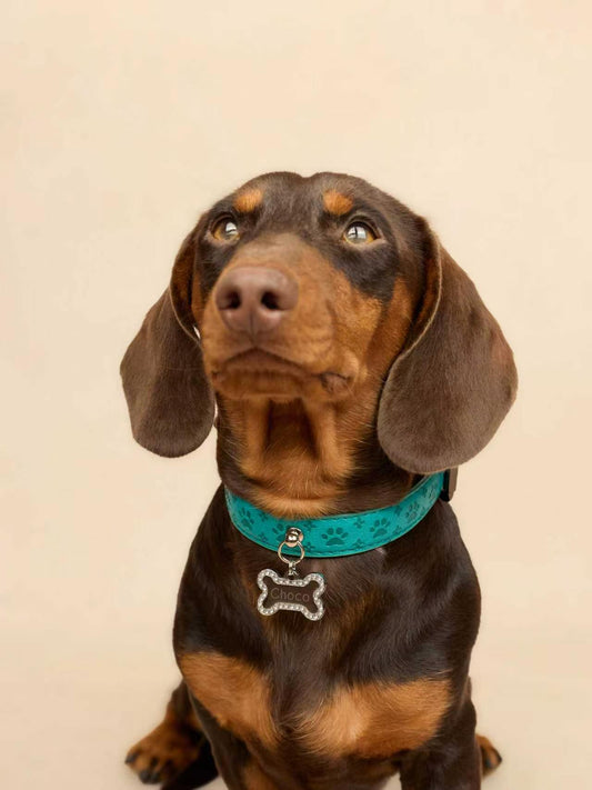 THE LAGUNA CHARM COLLAR – Aqua