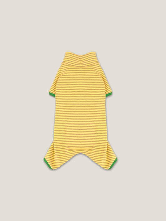 THE GOLDEN PINE ONESIE | Dachshund Onesie