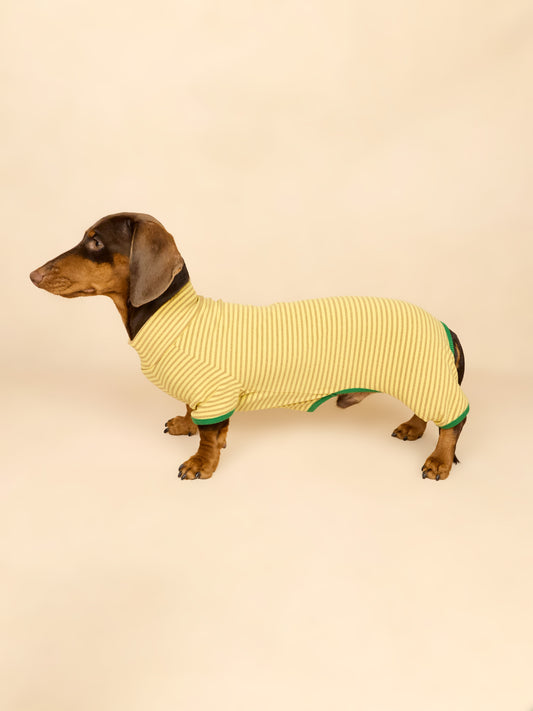 THE GOLDEN PINE ONESIE | Dachshund Onesie