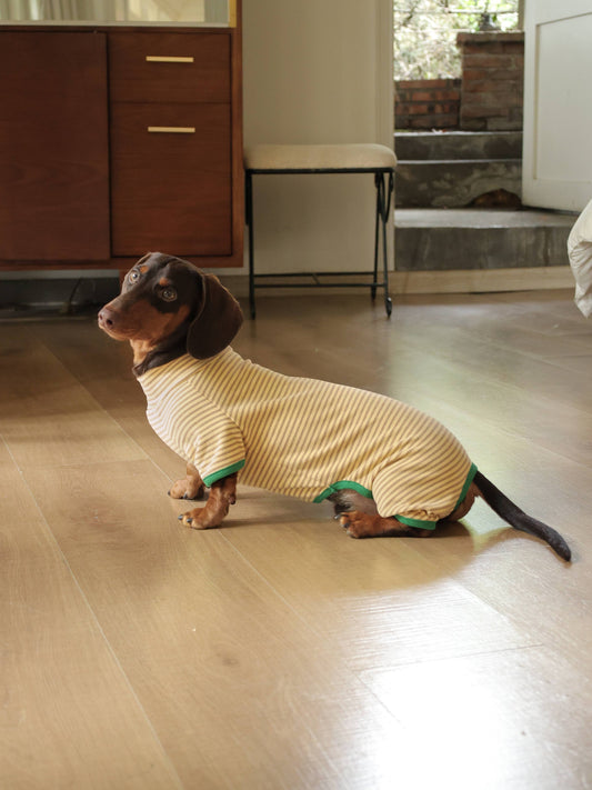 THE GOLDEN PINE ONESIE | Dachshund Onesie