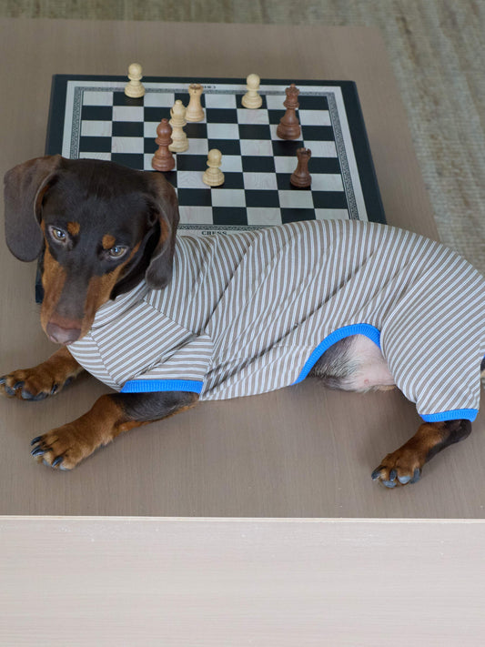 Toffee Stripe Onesie – Toffee Layer Cake | Dachshund Onesie