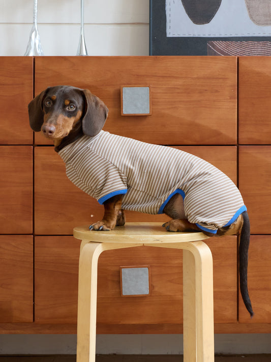 Toffee Stripe Onesie – Toffee Layer Cake | Dachshund Onesie