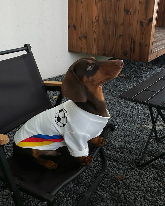 Dachino "Match Day" Vibrant Striped Soccer Jersey for Dachshund