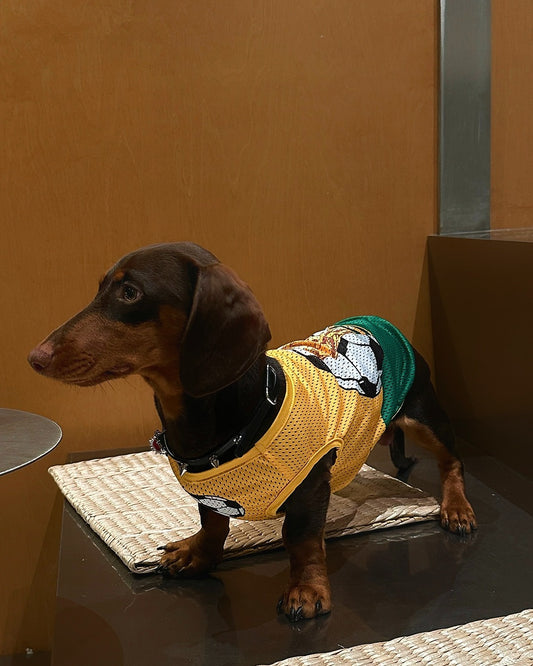 Dachino "Training Day" Yellow & Green Striped Soccer Vest for Dachshund